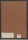 Hantzschia virgata var. ? borealis Grun. (de-Toni-Nr.: Genus 50, Species 2208) Zeichnungen Sammlung Grunow Mappe 02431 (Herbarium_W_Grunow_drawings_Folder_02431)